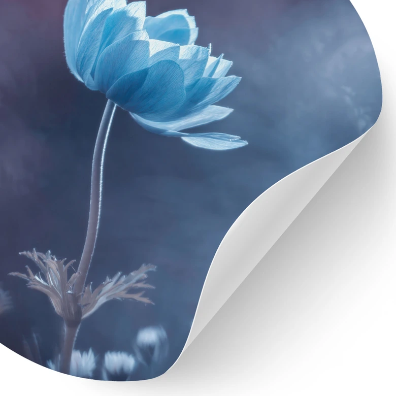 Vinilo decorativo La flor azul - Bravin - Redondo 