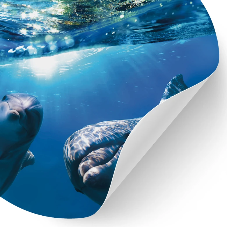 Sticker mural Dolphins Underwater - rond 