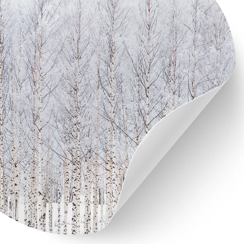 Wallsticker Birkeskov om vinteren - EMELIEmaria - Rund 