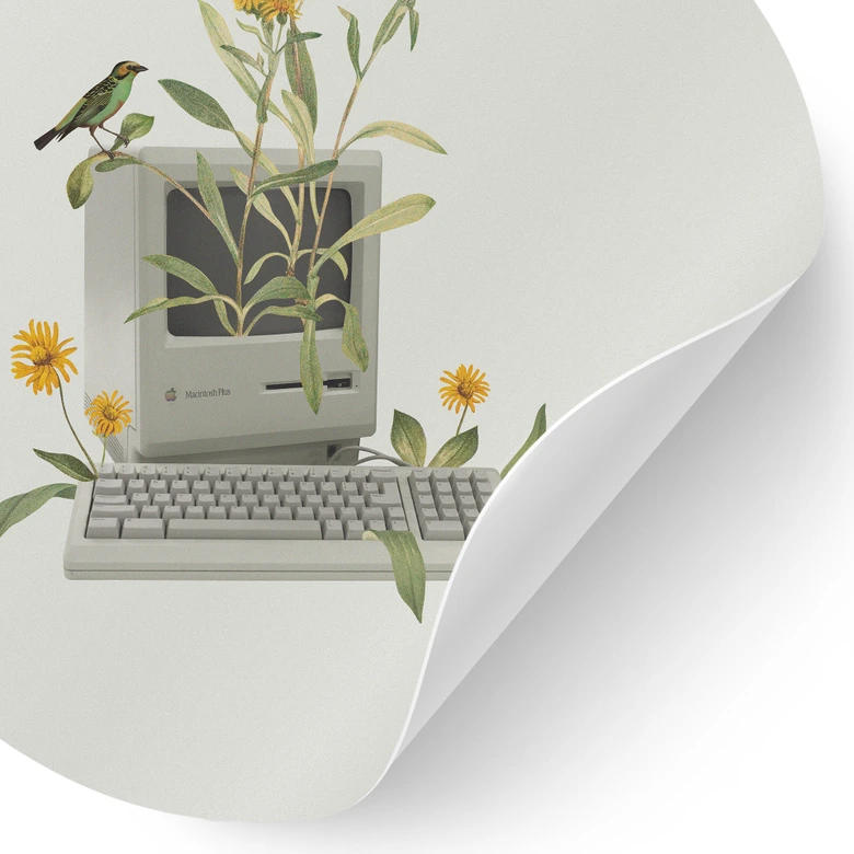 Wandtattoo Vintage Botanik-Computer - Frida Floral Studio - Rund 