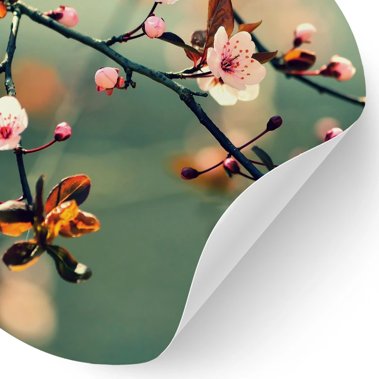 Vinilo decorativo Despertar de la primavera - Redondo 