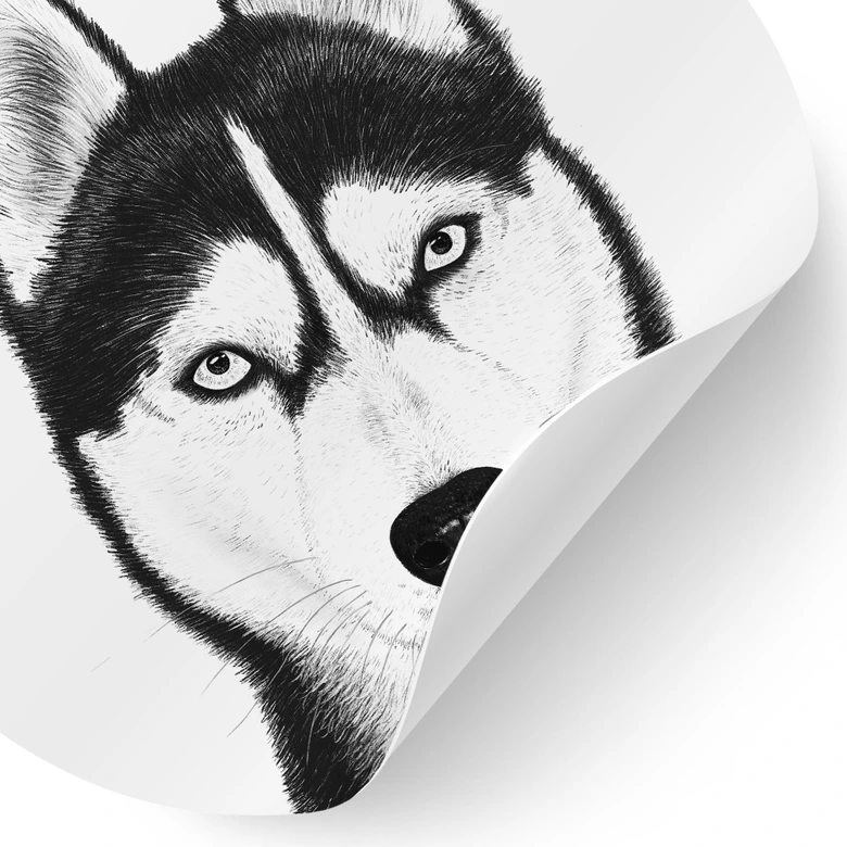 Wandtattoo Sibirischer Husky - Hundeporträt - Korenkova - Rund 