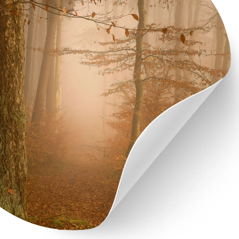 Wandtattoo Dunst und Licht im herbstlichen Wald - Maier - Rund 