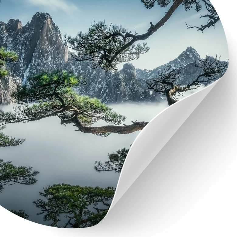 Wandtattoo Kiefernwald im Huang Shan Gebirge - NingYun Ye - Rund 
