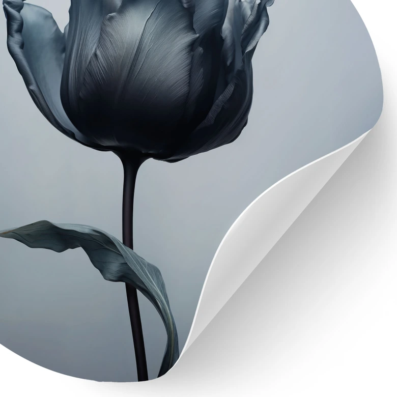 Sammetslen tulpan Wallsticker i svart - Paksoylu - Rund 