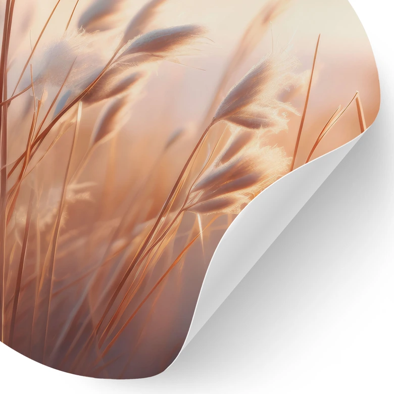 Wandtattoo Dünengras in der Abendsonne - Treechild - Rund 