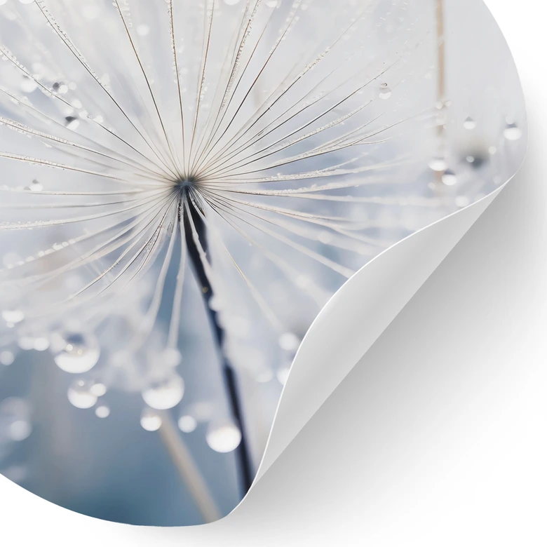 Wandtattoo Funkelnde Pusteblumen - Treechild - Rund 