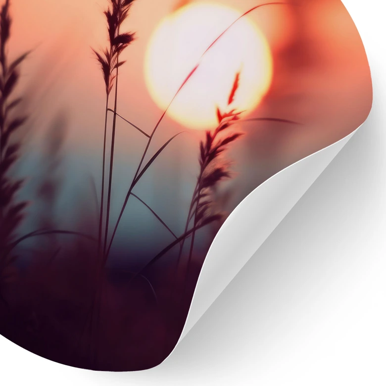 Natur Wandtattoo Gräser im Licht der glühenden Sonne - Treechild - Rund 