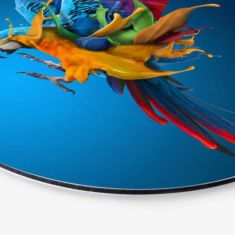 Wandcirkel Almawash - Kleurrijke Papegaai 