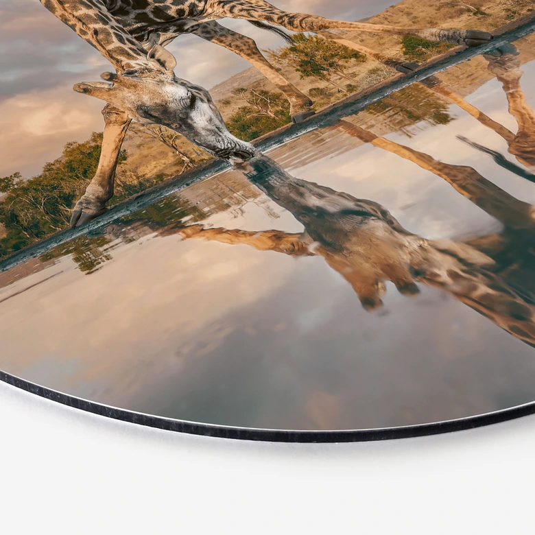 Wandbild Reflexion einer Giraffe in der Wildnis - Amtmann - Alu-Dibond Rund 