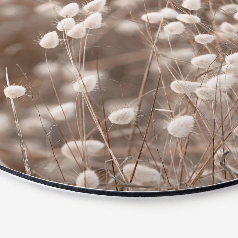 Wandbild Zarte Gräser im Herbstlicht - Collins - Alu-Dibond - Rund 