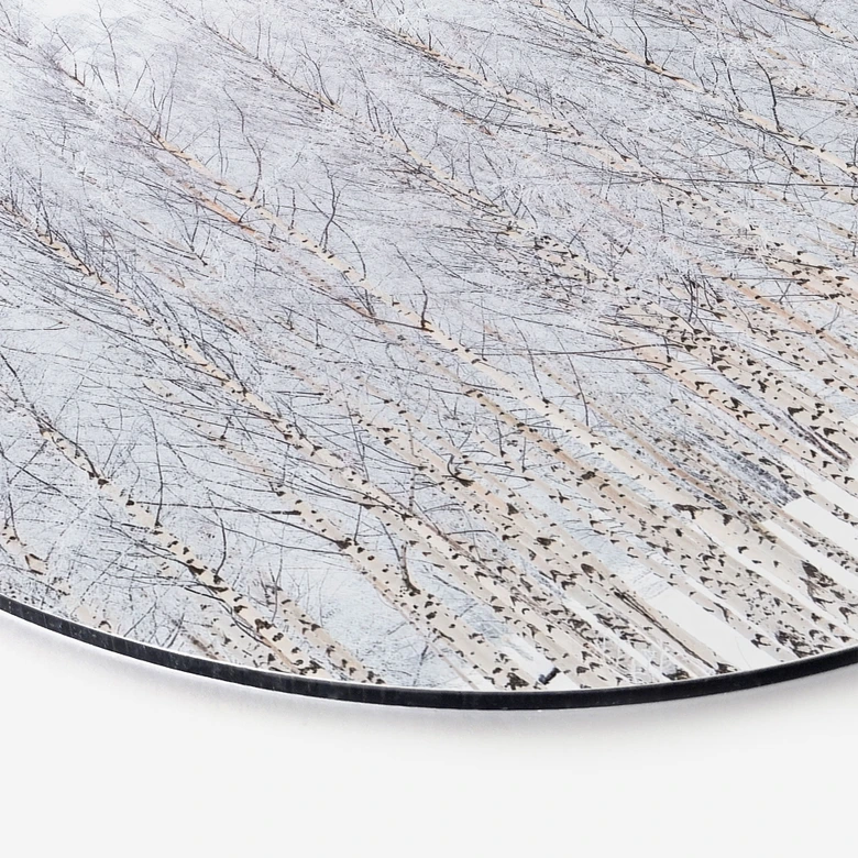 Wandbild Birkenwald im Winter - EMELIEmaria - Alu-Dibond Rund 