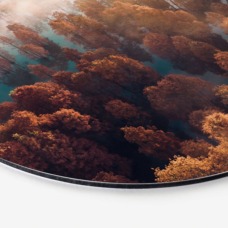 Wandbild Herbstwald im Nebel - Ioricon - Alu-Dibond - Rund 