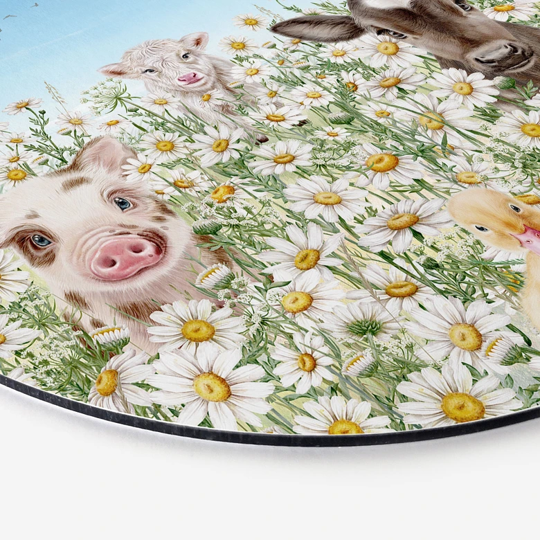 Wandbild Bauernhoftiere auf der Blumenwiese - Kikki Belle - Alu-Dibond - Rund 