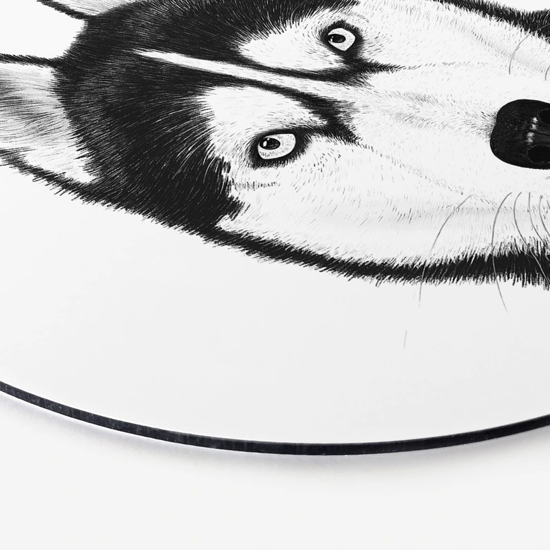 Rundes Wandbild Sibirischer Husky - Hundeporträt - Korenkova - Alu-Dibond 