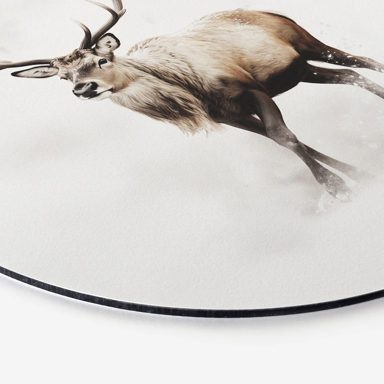 Wandbild Hirsch im weißen Winter - Magnusson - Alu-Dibond Rund 