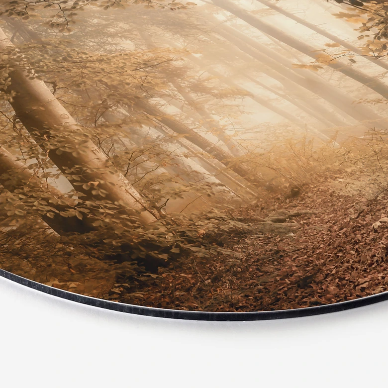 Wandbild Wald im morgendlichen Nebel - Maier - Alu-Dibond - Rund 