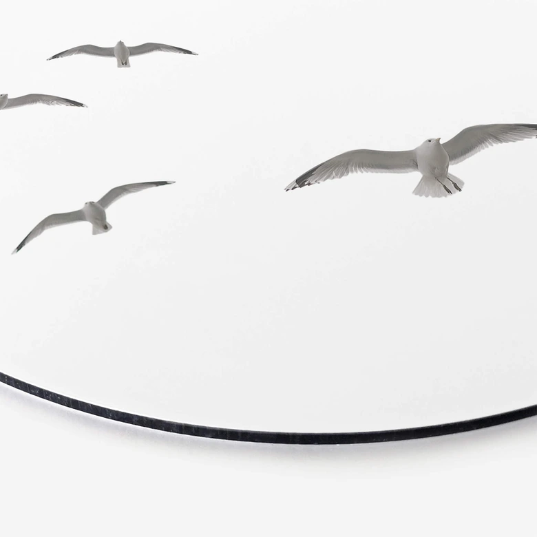 Wandbild Möwen am Himmel - Alu-Dibond Rund 