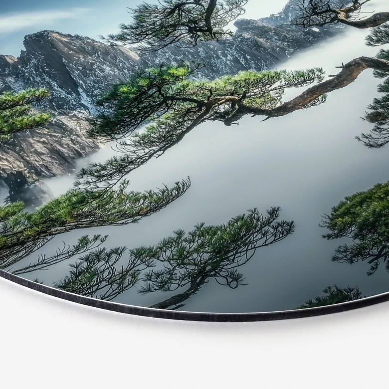 Wandbild Kiefernwald im Huang Shan Gebirge - NingYun Ye - Alu-Dibond Rund 