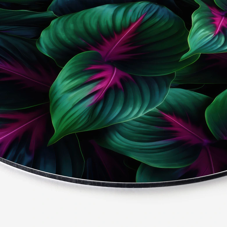 Dibond Wanddecoratie Kleurrijke jungleplanten - Paksoylu 