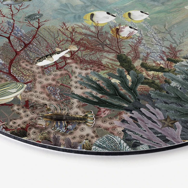 Wandcirkel Sir Edward - Koraalbewoners 