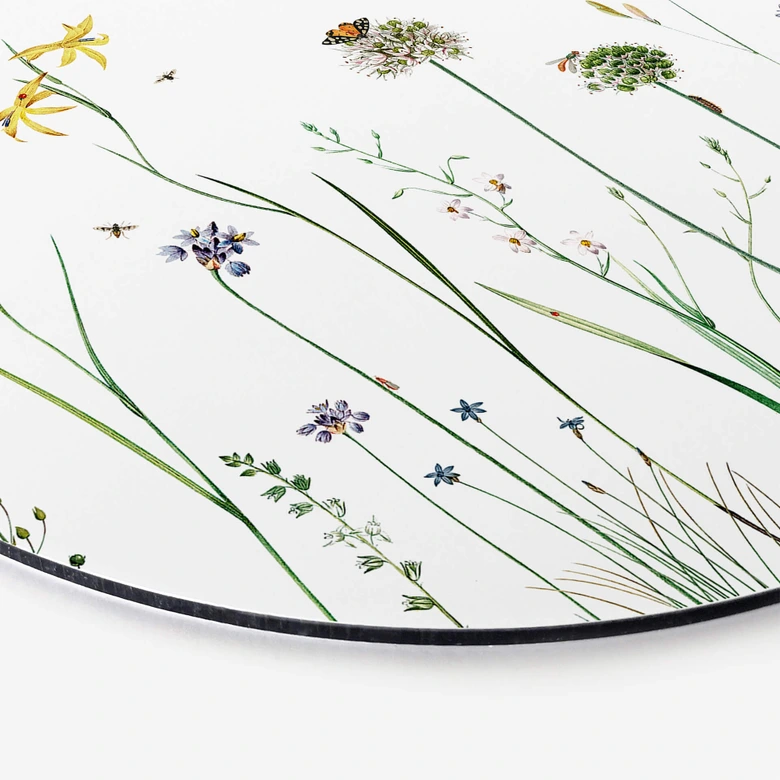 Wandcirkel Sir Edward - Butterfly Magic 