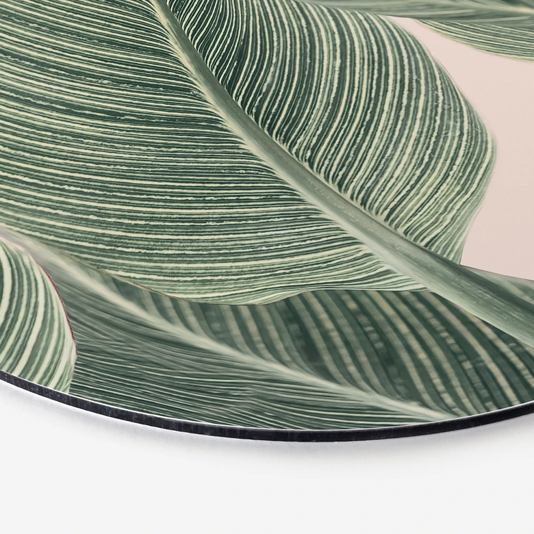 Trätavla Calathea växt - Sisi & Seb - Rund 