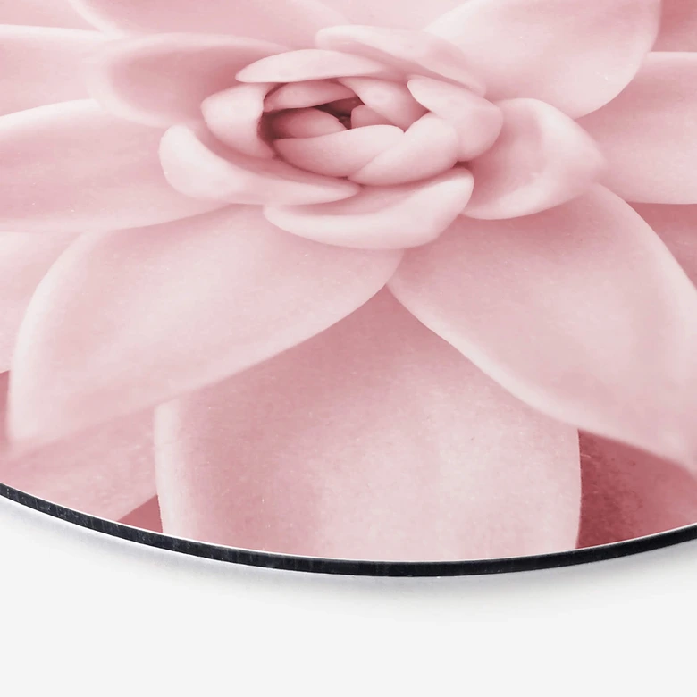Alu-Dibond Sisi & Seb - Rosa Sukkulente - Rund 