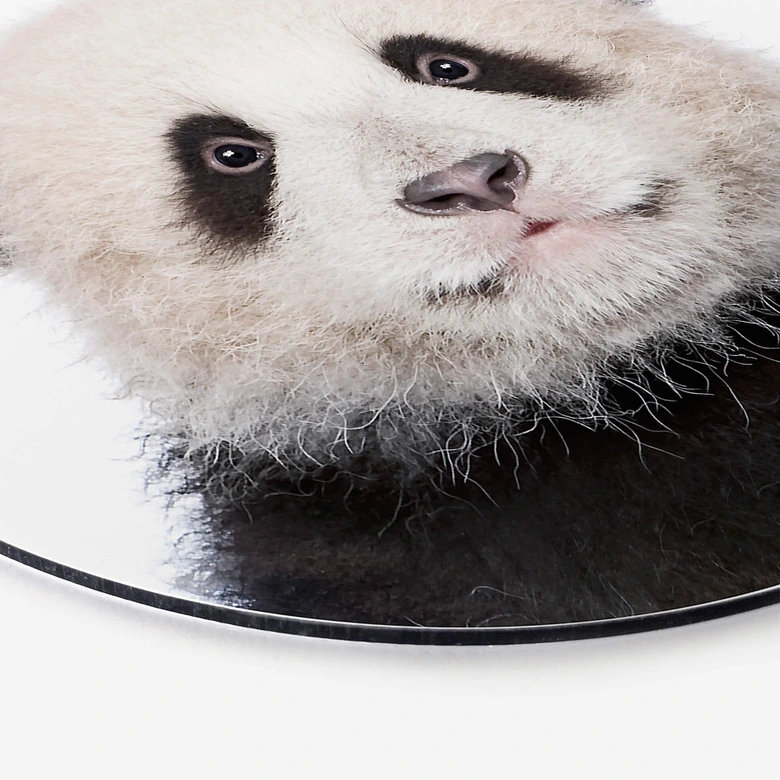 Alu-Dibond Sisi & Seb - Baby Panda - Rund 