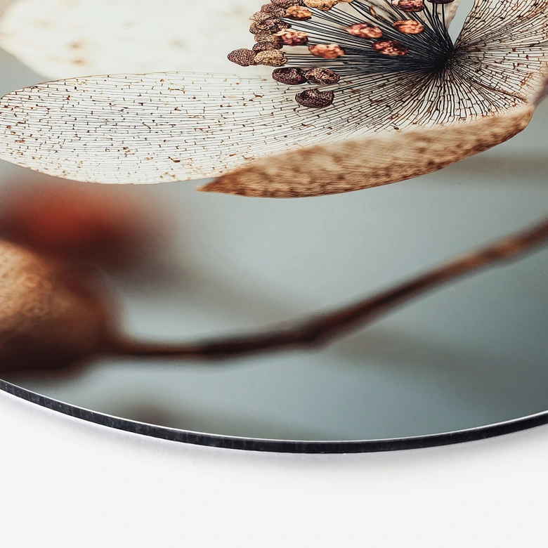 Wandbild Boho Trockenblume Makro - Treechild - Alu-Dibond Rund 