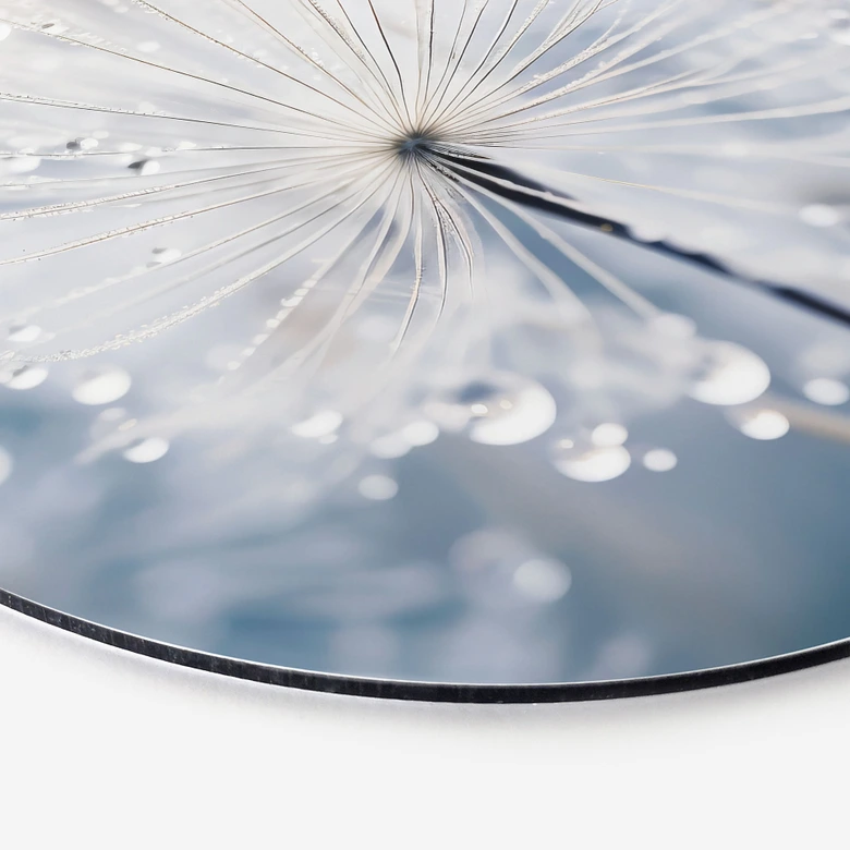 Wandbild Funkelnde Pusteblumen - Treechild - Alu-Dibond  - Rund 