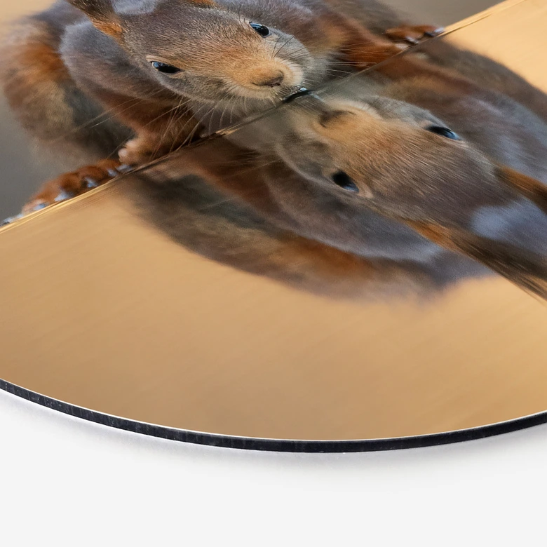 Wandbild Eichhörnchen am Wasser - van Duijn - Alu-Dibond - Rund 