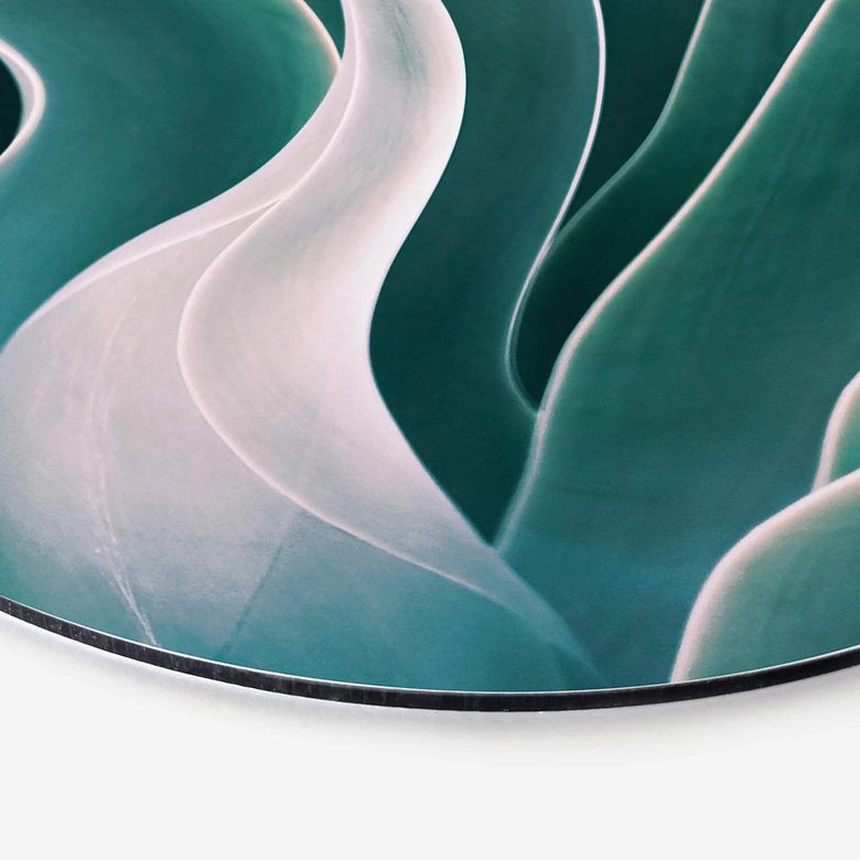 Wandcirkel Wechsler - Agave in het Ochtendlicht 