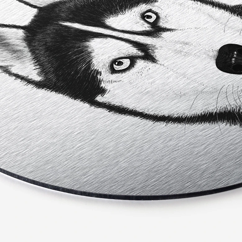 Alu-Dibond mit Silbereffekt Sibirischer Husky - Hundeporträt - Korenkova - Rund 