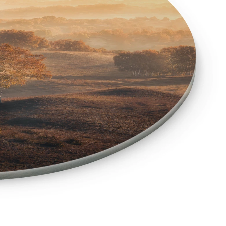 Glasbild Birkenbäume im goldenen Morgentau - Cui - Rund 