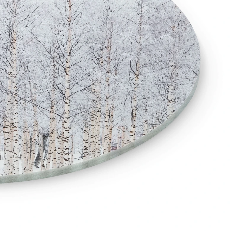 Glasbild Birkenwald im Winter - EMELIEmaria - Rund 