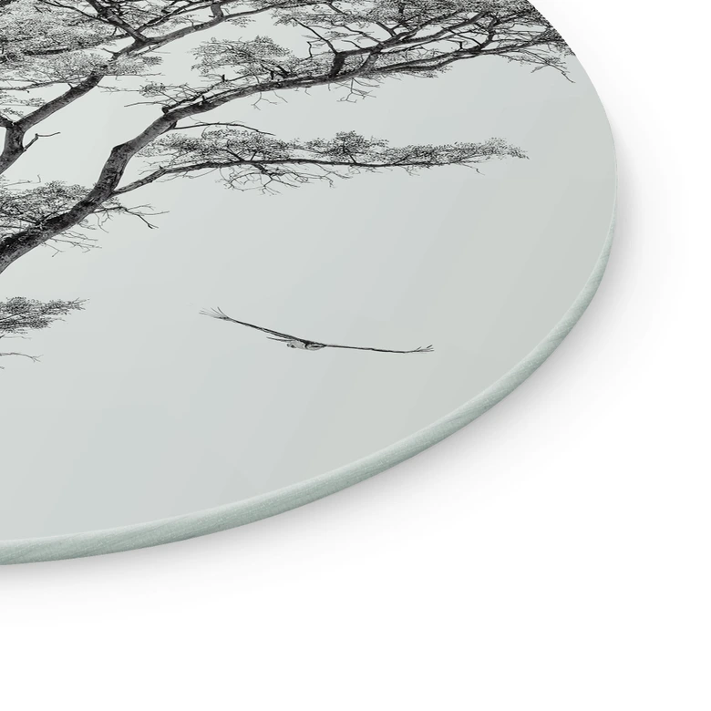 Glasbild Minimalistischer Baum in ruhiger Landschaft - Flour - Rund 