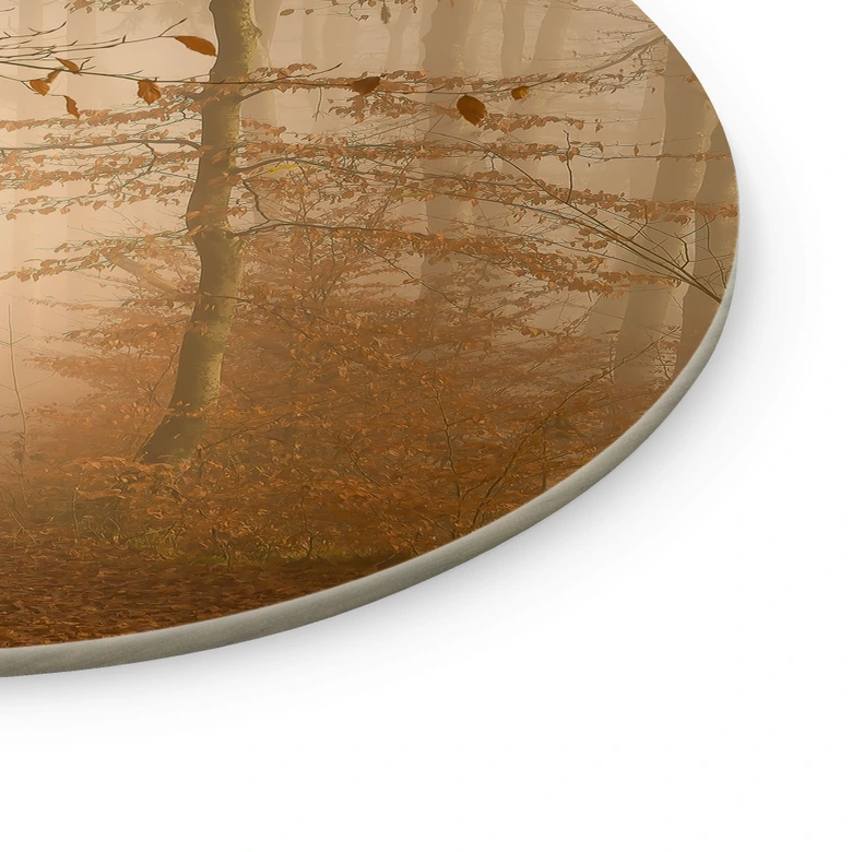 Glasbild Dunst und Licht im herbstlichen Wald - Maier - Rund 