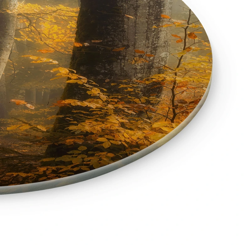 Glasbild Goldene Blätter im nebligen Wald - Maier - Rund 