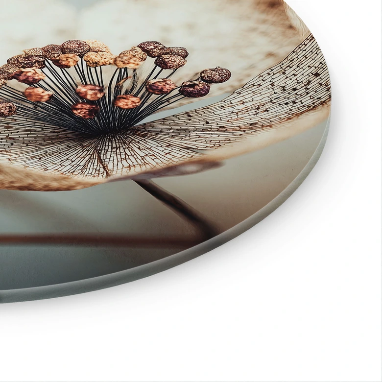 Glasbild Boho Trockenblume Makro | Florale Fotokunst - Treechild - Rund 