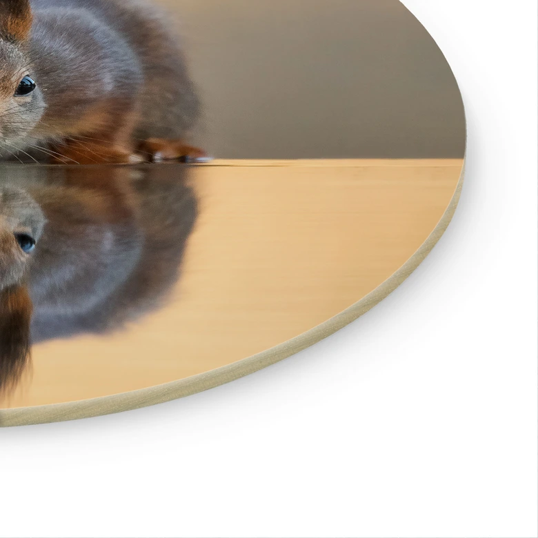 Glasbild Eichhörnchen am Wasser - van Duijn - Rund  
