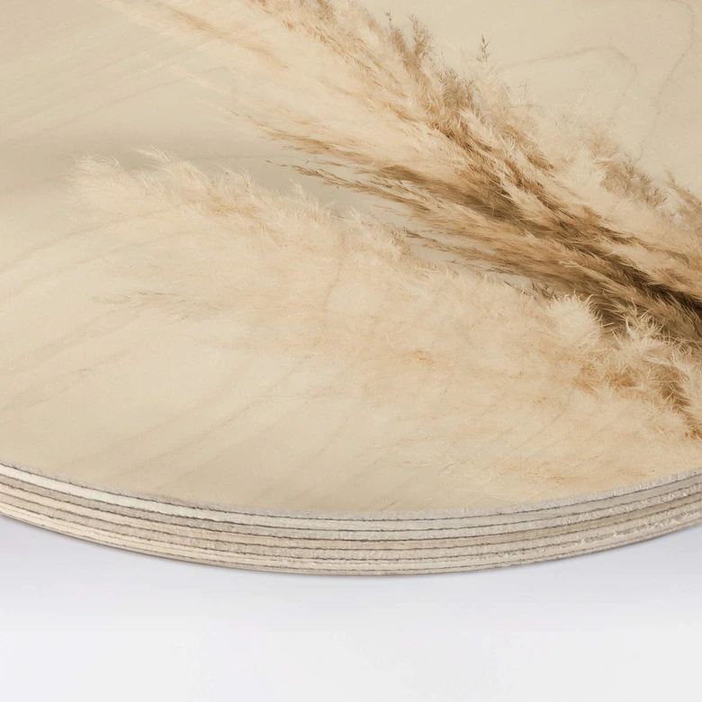Holzbild 1X Studio - Gebundenes Pampasgras - Rund 