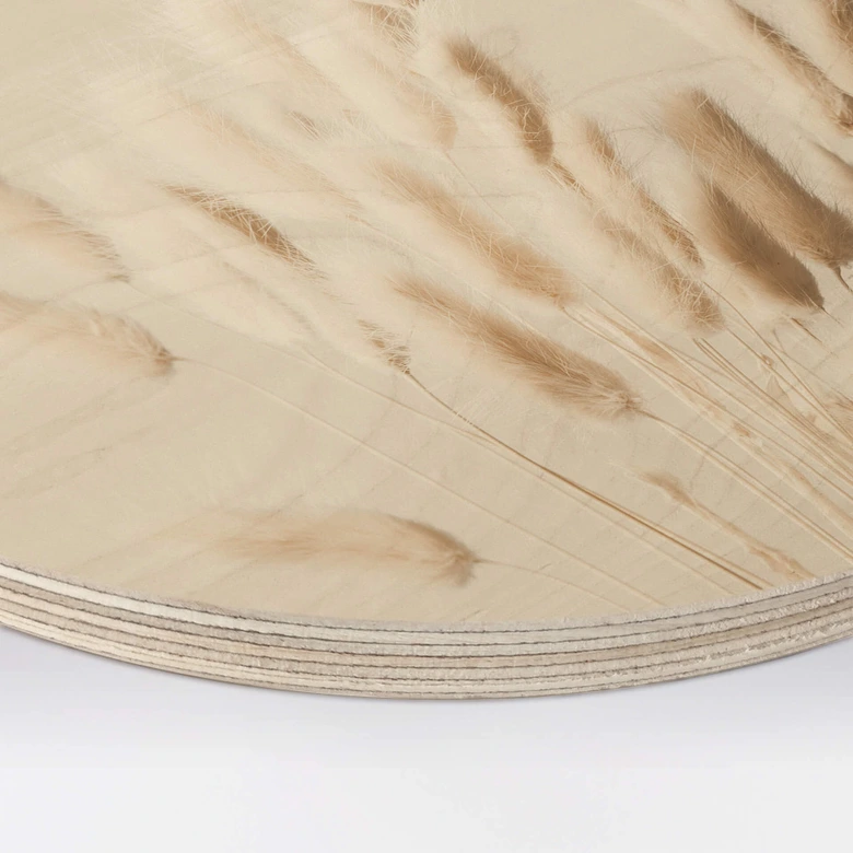 Holzbild 1X Studio - Getrocknete Gräser - Rund 