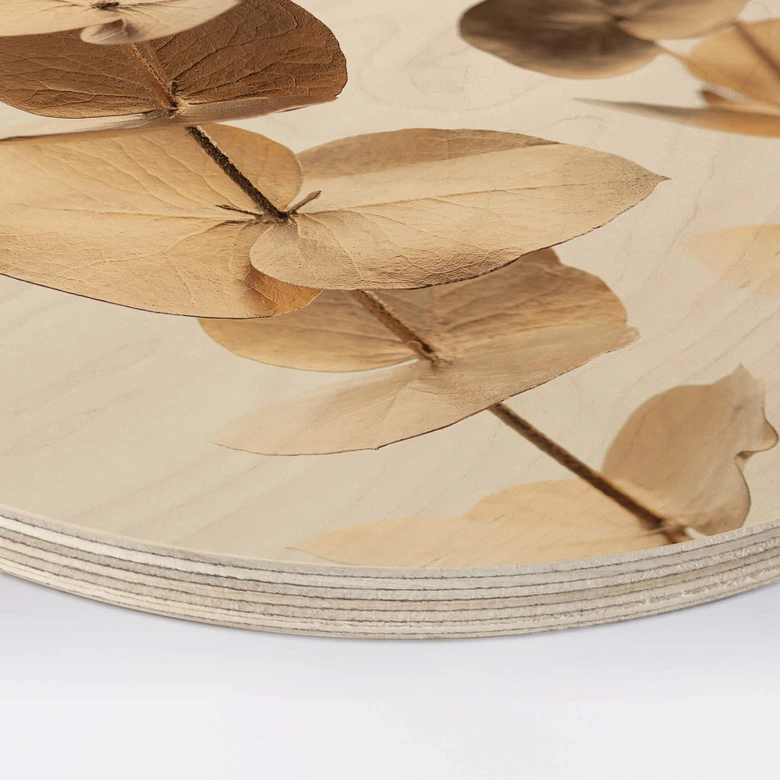 Holzbild 1X Studio - Goldener Eukalyptus - Rund 