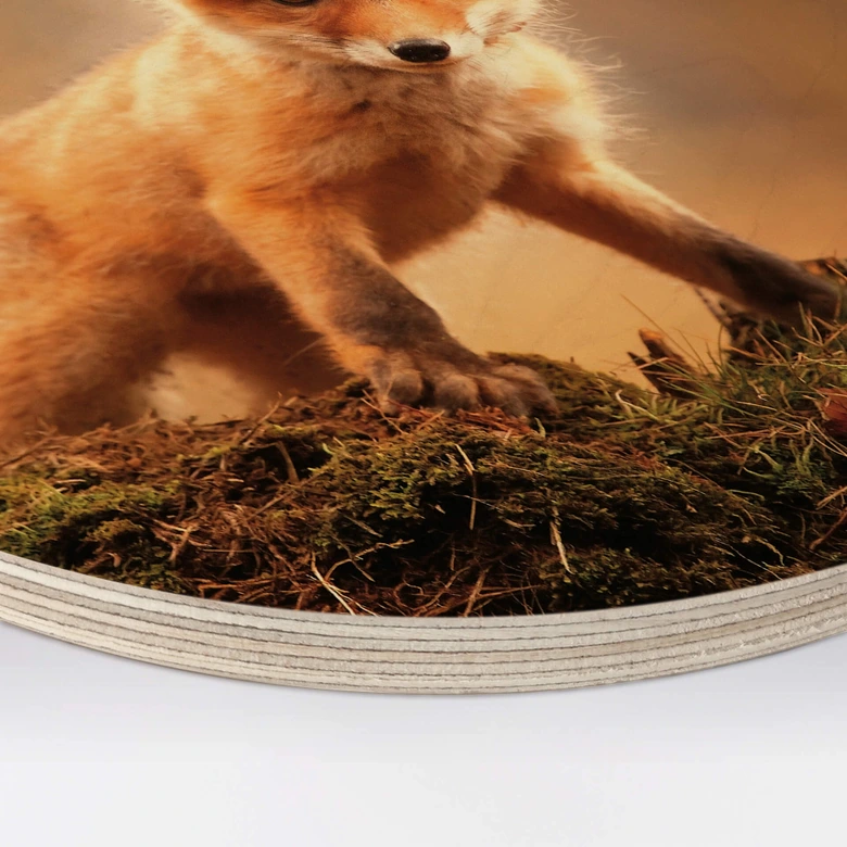 Adamec Trätavla - Ung räv i skogen - Rund 