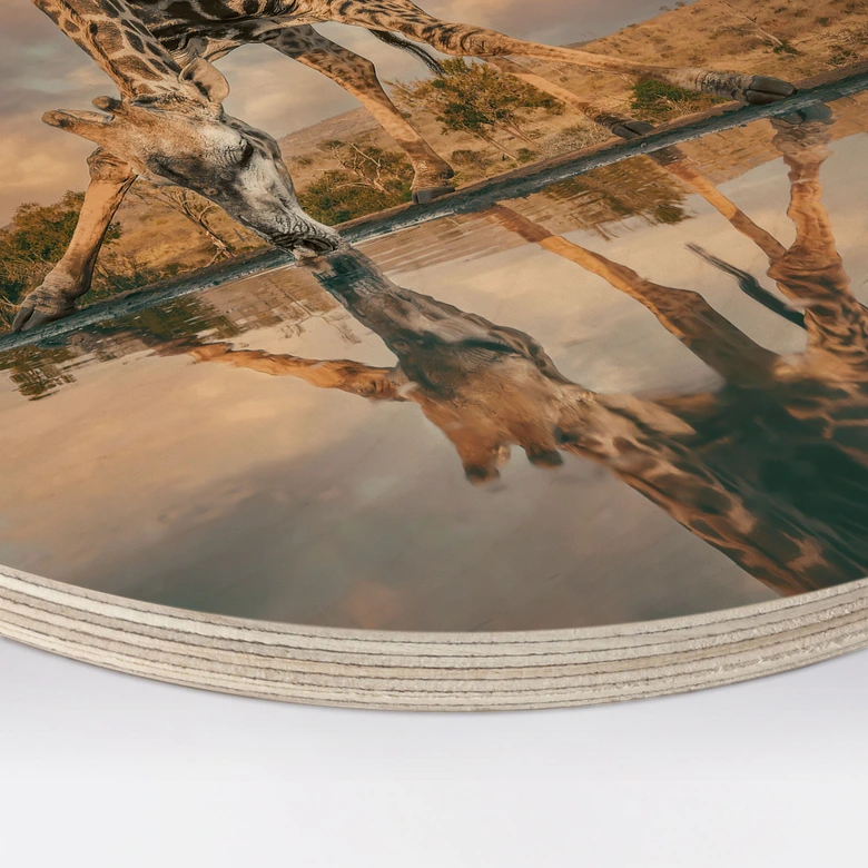 Houten spiegelbeeld van een giraffe in het wild - Amtmann - Rond 