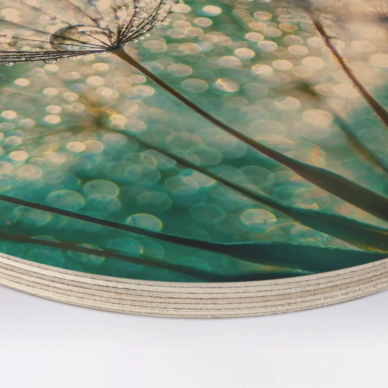 Holzbild Delgado - Funkelnde Pusteblume - Rund 