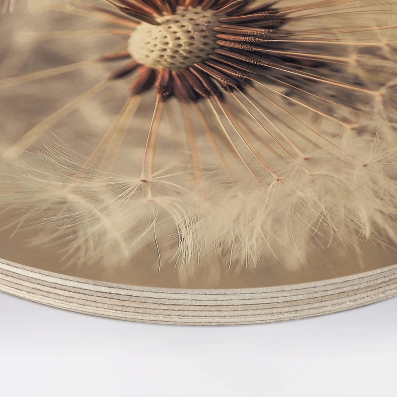 Wandcirkel Hout Delgado - Dandelions 