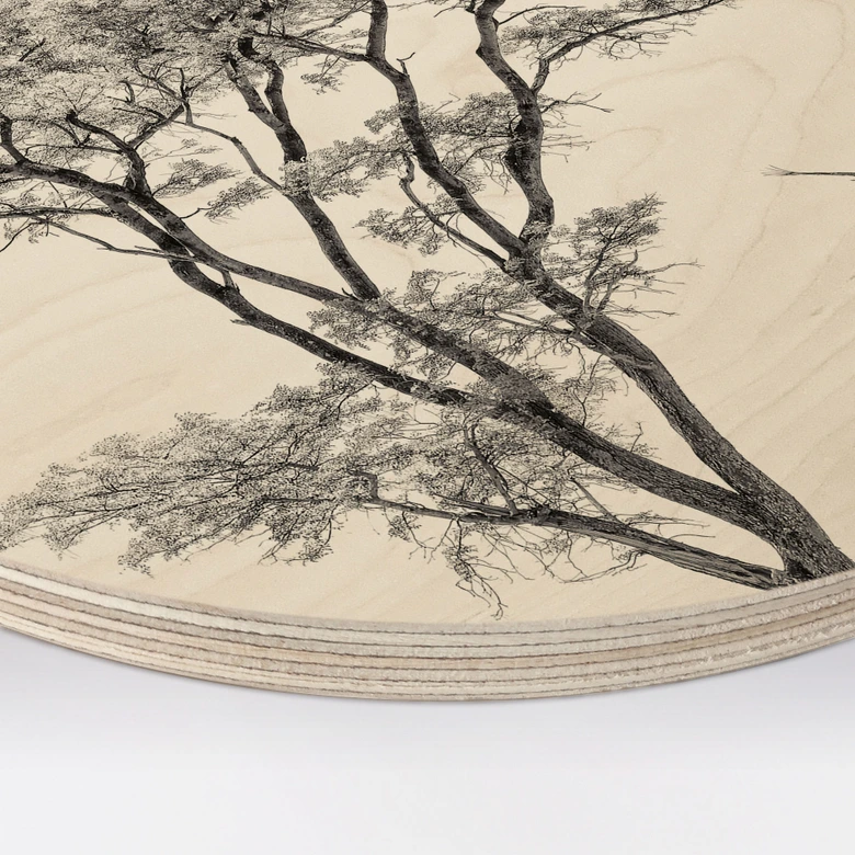 Holzbild Minimalistischer Baum in ruhiger Landschaft - Flour - Rund 