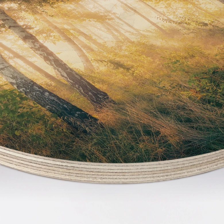 Holzbild Sonnenschein im Birkenwald - Kado - Rund 
